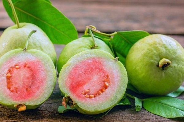 Quả ổi nhiều vitamin C gấp 4 lần quả cam